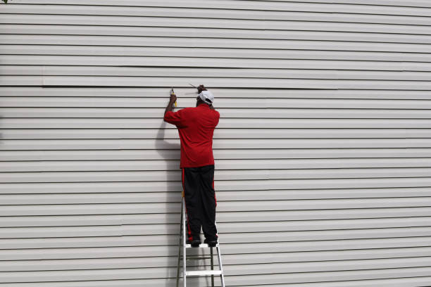 Best Siding Painting and Refinishing  in Wellman, IA